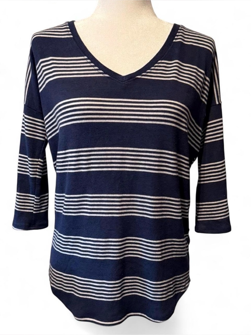 Market & Spruce Blue and Off-White Striped V-Neck Top